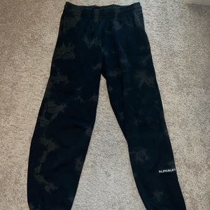 Alphalete HCTS joggers